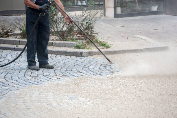 Best Sidewalk and Walkway Cleaning  in Meridian, PA